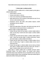 Prakses atskaite 'Prakses atskaite par praksi Nordea bankā', 13.