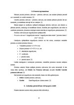 Prakses atskaite 'Prakses atskaite par praksi Nordea bankā', 19.