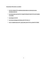 Referāts '2004.gada zemestrīce Indijas okeānā', 9.