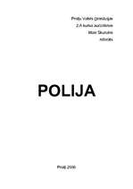 Referāts 'Polija', 1.