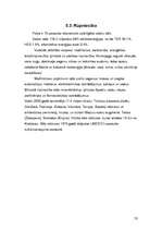 Referāts 'Polija', 18.