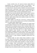 Diplomdarbs 'Eiropas komercsabiedrības darbības tiesiskie aspekti', 53.