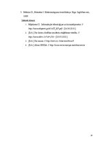 Referāts 'Datornoziegumu krimināltiesisks raksturojums', 27.