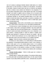 Diplomdarbs 'Personīgo bibliotēku izveide un izmantošana', 22.