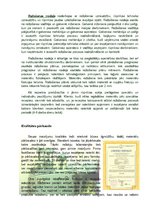 Referāts 'Rūpnīca "Sakret"', 7.