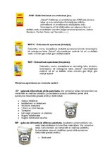 Referāts 'Rūpnīca "Sakret"', 11.