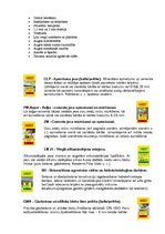 Referāts 'Rūpnīca "Sakret"', 12.