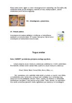 Referāts 'Rūpnīca "Sakret"', 17.