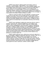 Referāts 'Rūpnīca "Sakret"', 23.