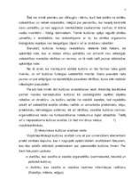 Referāts 'Kultūra un sabiedrība', 7.