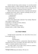Referāts 'Kultūra un sabiedrība', 9.