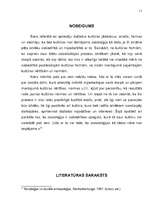 Referāts 'Kultūra un sabiedrība', 14.