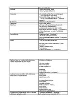 Paraugs 'Aleksandra Čaka dzejoļa krājuma valodas analīze', 2.