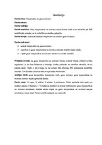 Referāts 'Gaisa mitrums un temperatūra', 2.