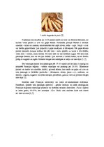 Referāts 'Francijas nacionālā virtuve', 7.