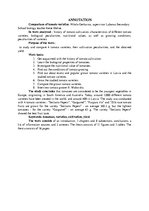 Referāts 'Tomātu šķirņu salīdzinājums', 4.