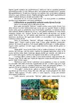 Referāts 'Tomātu šķirņu salīdzinājums', 9.