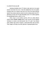 Referāts 'Žurnālu un laikrakstu reklāmu īpatnības ekonomikas globalizācijas apstākļos', 15.