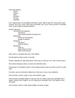 Konspekts 'Putnu klase', 1.