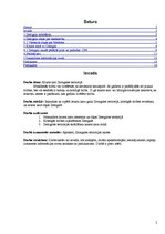 Referāts 'Krusta kari Zemgalē', 2.