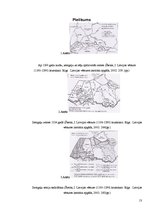 Referāts 'Krusta kari Zemgalē', 13.