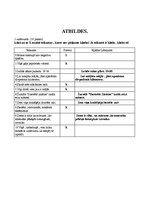 Konspekts 'Pašizveidota latviešu valodas eksāmena valodas sistēmas izpratnes daļa', 4.