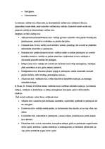 Konspekts 'Vadības stili', 5.