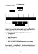 Referāts 'Latvijas Republikas Aizsardzības ministrija, tās budžets, struktūra, uzdevumi', 7.