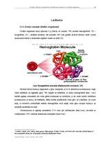 Referāts 'Koraļļu kalcijs un tā galveno minerālvielu ietekme uz cilvēka organismu', 12.