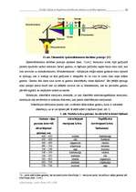 Referāts 'Koraļļu kalcijs un tā galveno minerālvielu ietekme uz cilvēka organismu', 20.