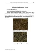 Referāts 'Koraļļu kalcijs un tā galveno minerālvielu ietekme uz cilvēka organismu', 28.