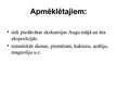 Prezentācija 'Kultūras veiksmīgākie projekti Latvijā, to realizācija un turpmākā attīstība. LU', 6.