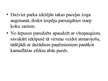 Prezentācija 'Kultūras veiksmīgākie projekti Latvijā, to realizācija un turpmākā attīstība. LU', 14.