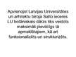 Prezentācija 'Kultūras veiksmīgākie projekti Latvijā, to realizācija un turpmākā attīstība. LU', 18.