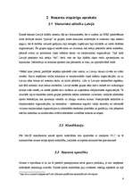 Referāts 'Sporta un karatē klubi', 6.