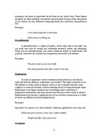 Konspekts 'Stylistic Devices in Fiction', 11.