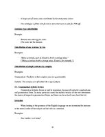 Konspekts 'Stylistic Devices in Fiction', 14.