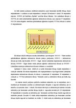 Referāts 'Rīgas pilsētas iedzīvotāju informētība par bezmaksas uzticībasun informatīvo tel', 8.