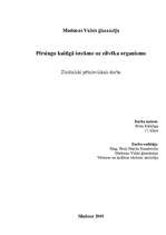 Referāts 'Pīrsingu kaitīgā ietekme uz cilvēka organismu', 1.