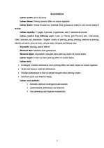 Referāts 'Pīrsingu kaitīgā ietekme uz cilvēka organismu', 2.