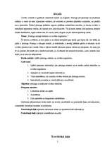 Referāts 'Pīrsingu kaitīgā ietekme uz cilvēka organismu', 5.