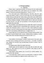 Referāts 'Pīrsingu kaitīgā ietekme uz cilvēka organismu', 9.