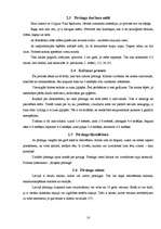 Referāts 'Pīrsingu kaitīgā ietekme uz cilvēka organismu', 10.