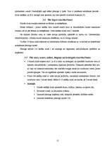 Referāts 'Pīrsingu kaitīgā ietekme uz cilvēka organismu', 12.