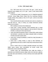 Referāts 'Eiro ieviešanas problēmas Latvijā', 6.