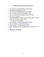 Referāts 'Eiro ieviešanas problēmas Latvijā', 17.