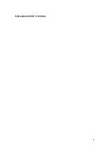 Referāts 'Viesu mājas „Victory” dokumentācija', 8.