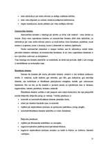 Referāts 'Viesu mājas „Victory” dokumentācija', 10.