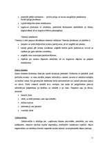 Referāts 'Viesu mājas „Victory” dokumentācija', 11.