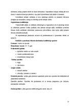 Referāts 'Viesu mājas „Victory” dokumentācija', 16.